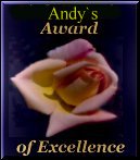andys award